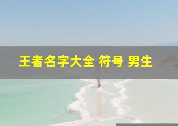 王者名字大全 符号 男生